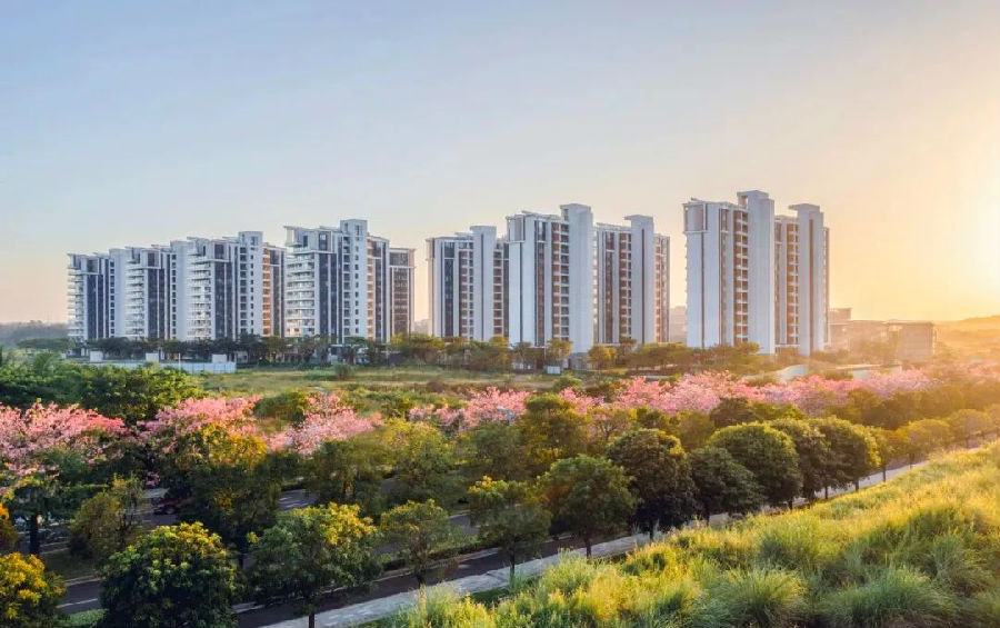 微信圖片_20250801094942.jpg 圖片